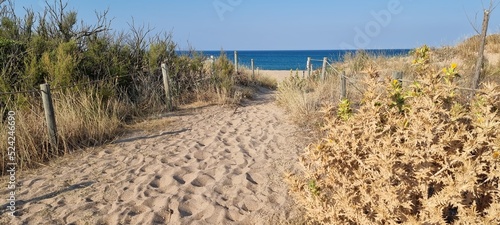 Pals Costa Brava Spain July 2022 view of the dunes, beach and sea in beautiful weather with blue sky
