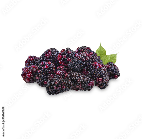 Fresh Blackberry with leaves isolated on transparent background (.PNG)
