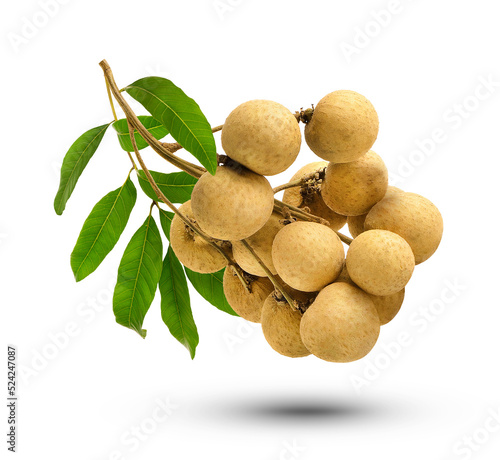 fresh longan with leaf isolated on transparent background (.PNG) photo