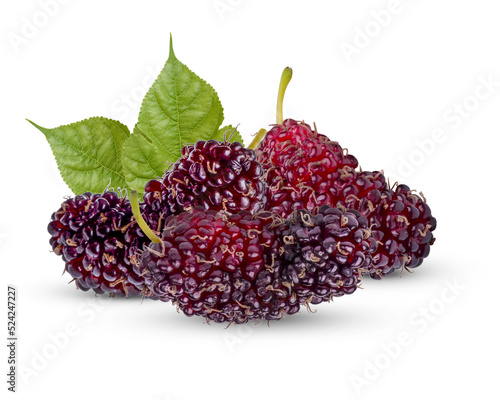 Fresh mulberry with leaves isolated on transparent background (.PNG)