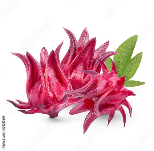 Fresh roselle fruits with leaves isolated on transparent background (.PNG) photo