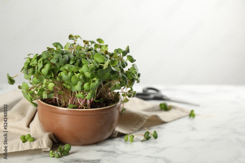 Fototapeta premium Fresh radish microgreens in bowl on white marble table, space for text