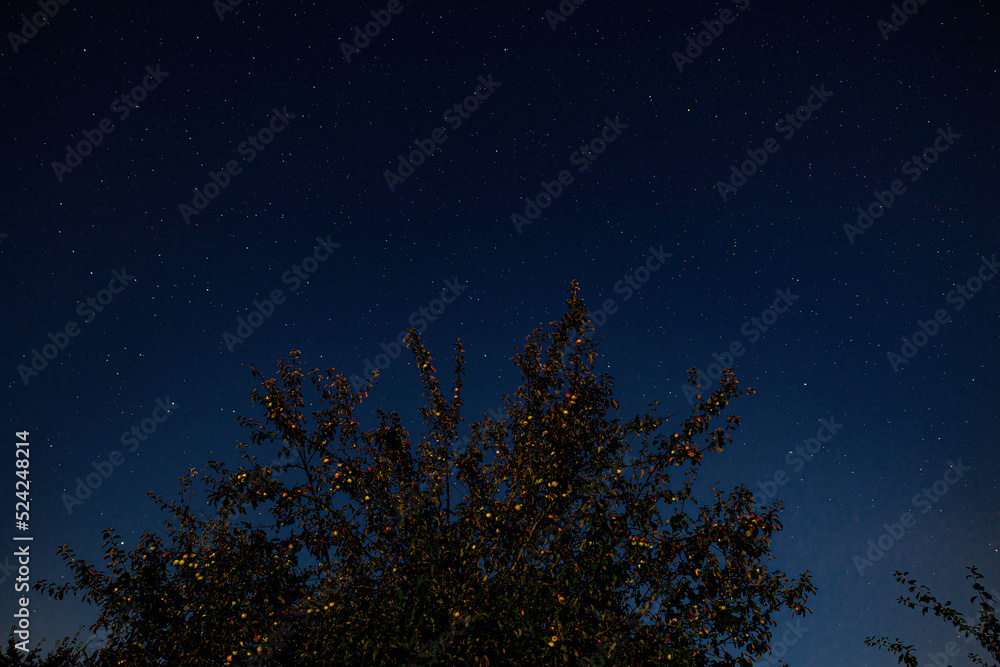 night sky with stars night sky with stars