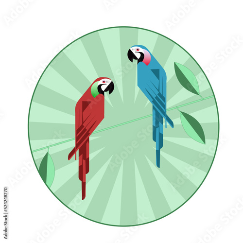 parrot
