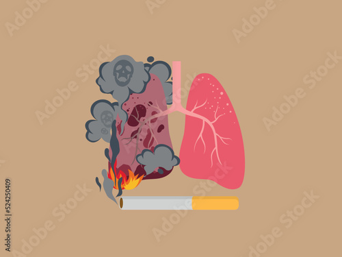 Illustration of human lungs - healthy and affected by cigarette smoke on color background