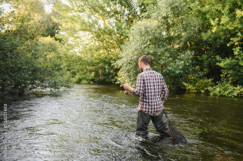 Fisherman catches a trout on the river in summer Fisherman catches a trout on the river in summer