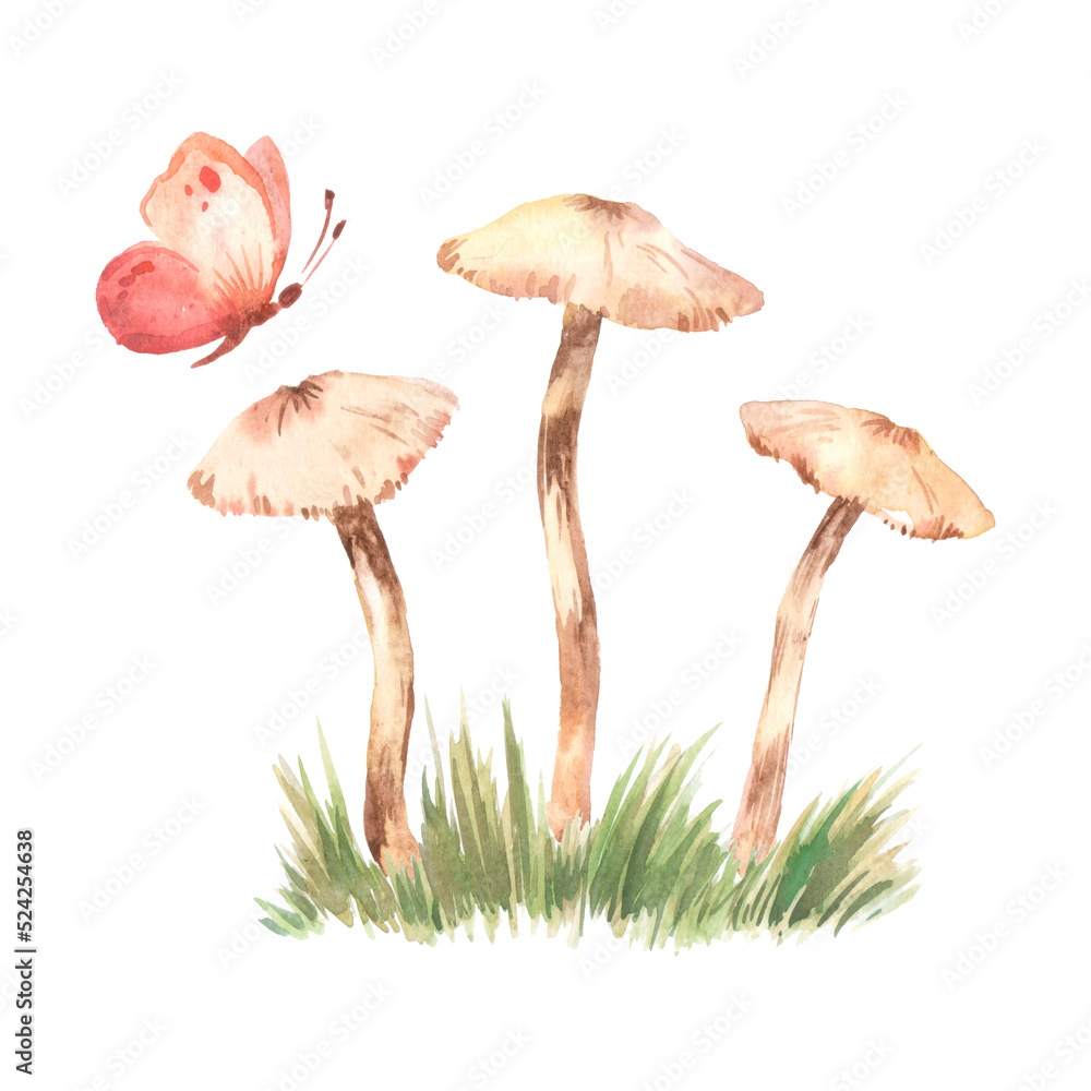 Easter green grass with cute mushrooms and butterflies close up watercolor illustration. Lush spring grass - meadow element. Fresh herbs and natural plants. Easter green grass with cute mushrooms and butterflies close up watercolor illustration. Lush spring grass - meadow element. Fresh herbs and natural plants.
