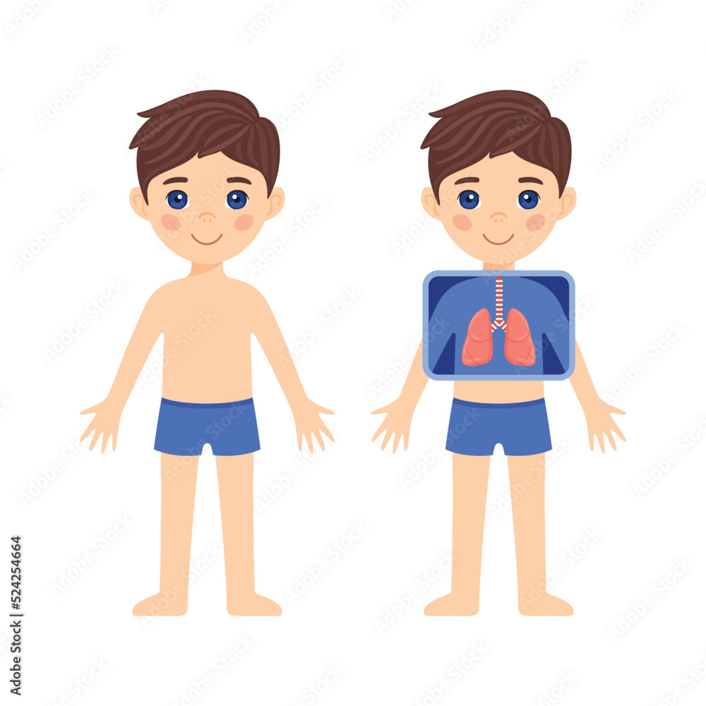 Cute Brunette Boy and Human Respiratory system. Little Child with an X-ray Screen. Human Lungs. Checking the Health of a Young Patient. Cartoon style. White background. Vector image for Anatomy Lesson