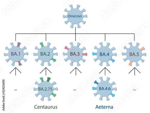 The new Omicron variants Centaurus BA.2.75 and Aeterna BA.4.6 are schematically represented on the Omicron genetic family  tree. Omicron variant and its main subtypes. Icons of viruses with names.