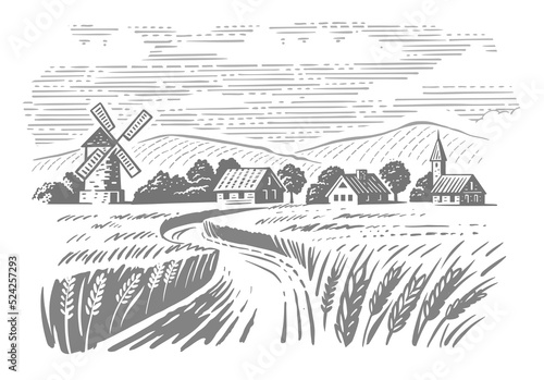 Wheat Organic Farming landscape. Farm and Fields with Harvest