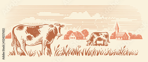 Village and landscape vector farm with cows