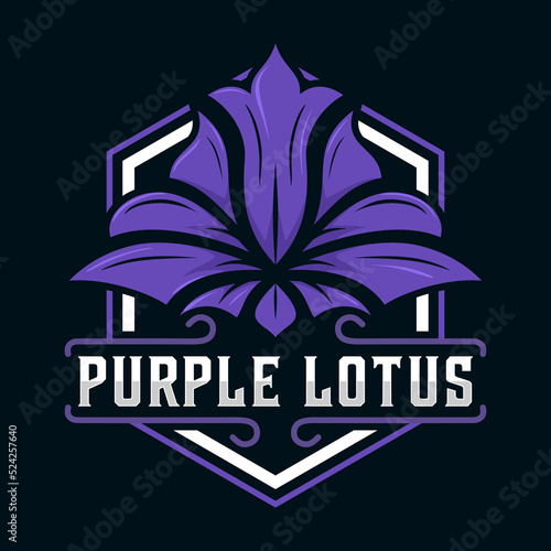 lotus flower line illustration logo design for cosmetics, beauty products, treatments, salons, spas, therapy, health and more