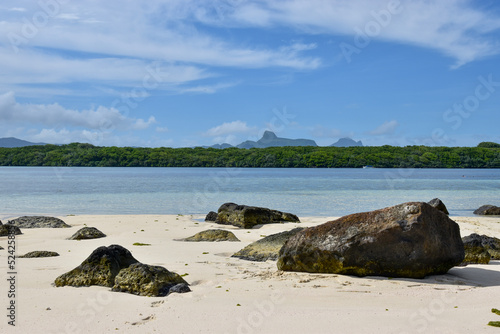 beach and rocks