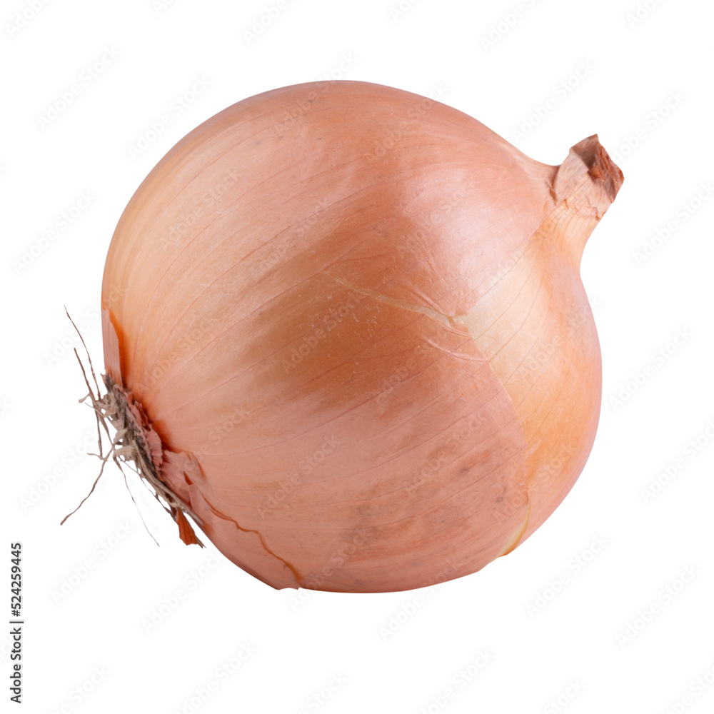Fresh onion bulbs isolated on alpha background.