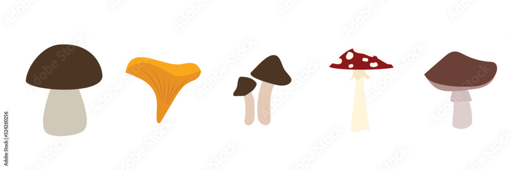 Mushrooms plants. natural foods for kitchen preparing products golden chanterelle champignons decent vector mushrooms pictures set Mushrooms plants. natural foods for kitchen preparing products golden chanterelle champignons decent vector mushrooms pictures set