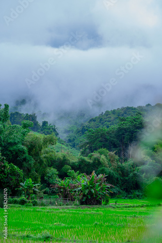 clouds over the mountains © Supat