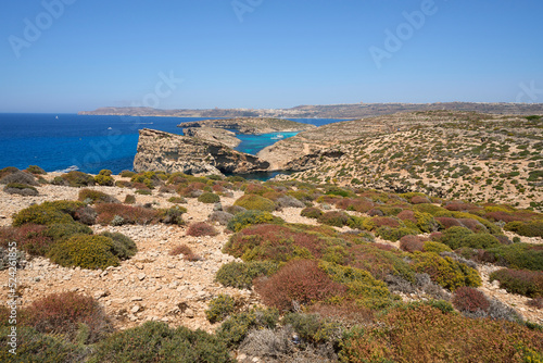 View to blue lagoon on european Comino island in Malta © Jakub Korczyk