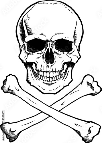 Human skull and crossbones black and white.  Transparent background.