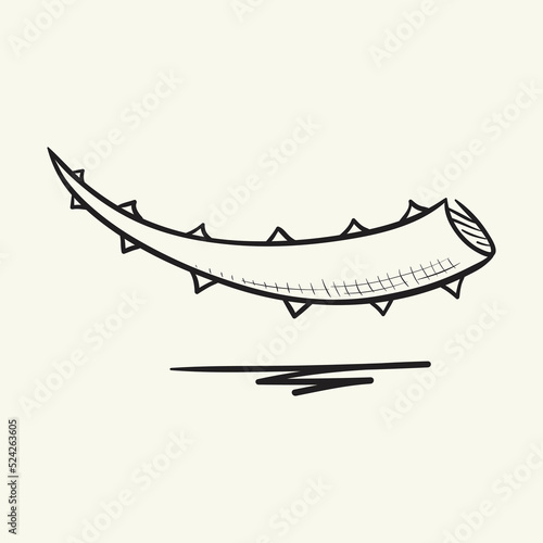 Aloe vera leaf.  Hand drawn vector illustration.