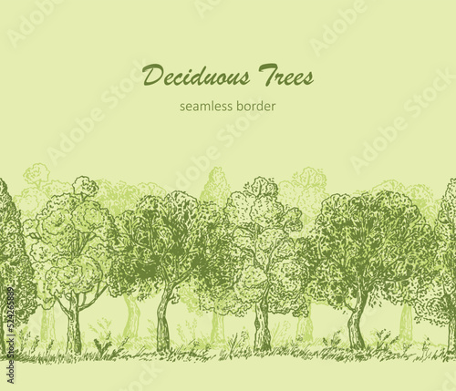 Deciduous Trees Horizontal Seamless Border. Hand Drawn Tree Sketch. Ink pen drawing. Vector illustration