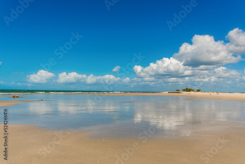 Beautiful sandy beach with sky reflection on a sunny day. Nature tropical background with copy space. Low tide at Elliot Heads Beach  QLD  Australia