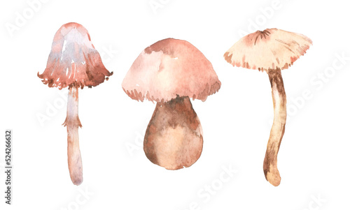 Watercolor hand painted mushroom set. Amanita, magic, nature, forest, mystical. Illustration isolated on white background. Use it for postcards, invitations, and scrapbooking.