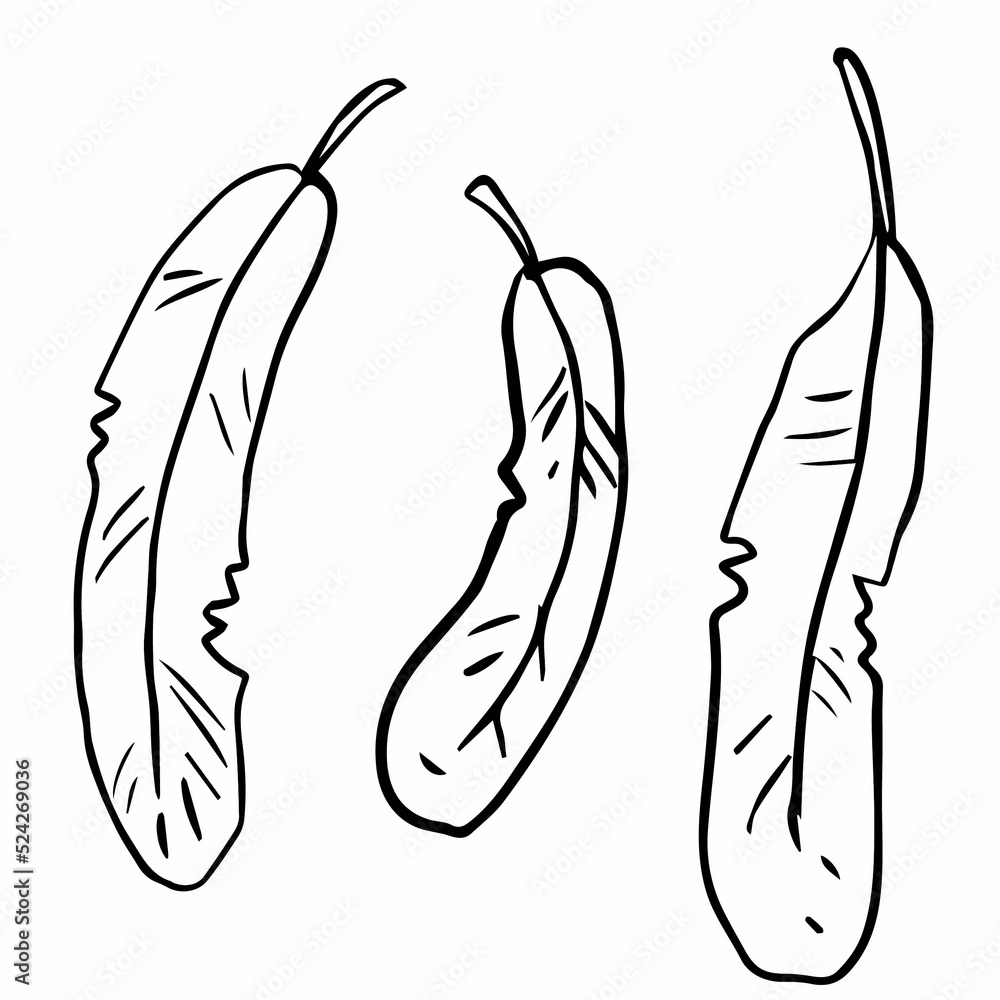 cartoon bird feathers three sizes cartoon bird feathers three sizes