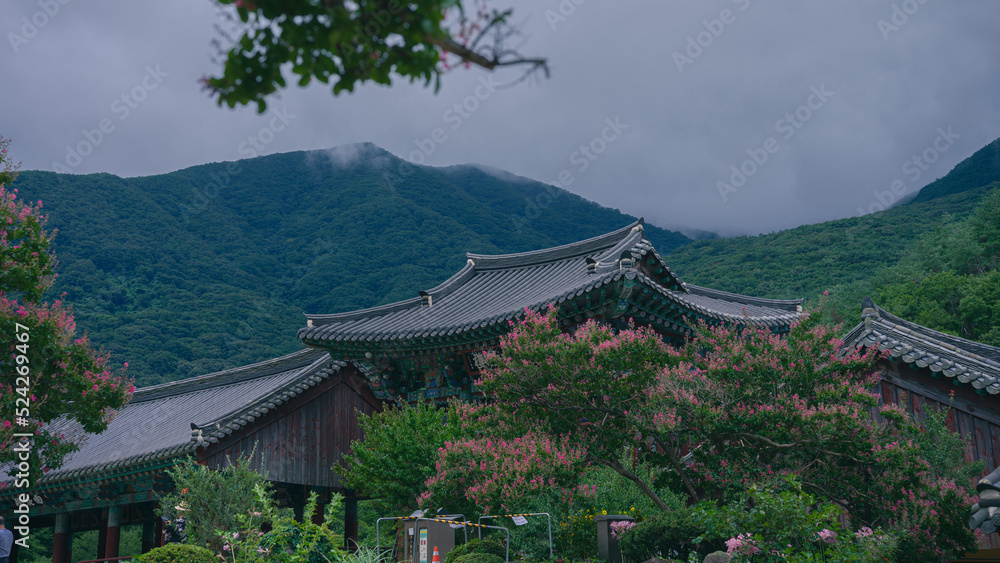 temple in nature (자연속의 사찰)