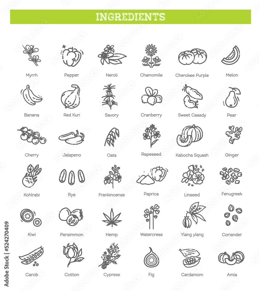 Vegetables and fruit vector flat collection Vegetables and fruit vector flat collection