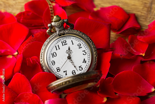 Red Rose and pocket watch, time, background