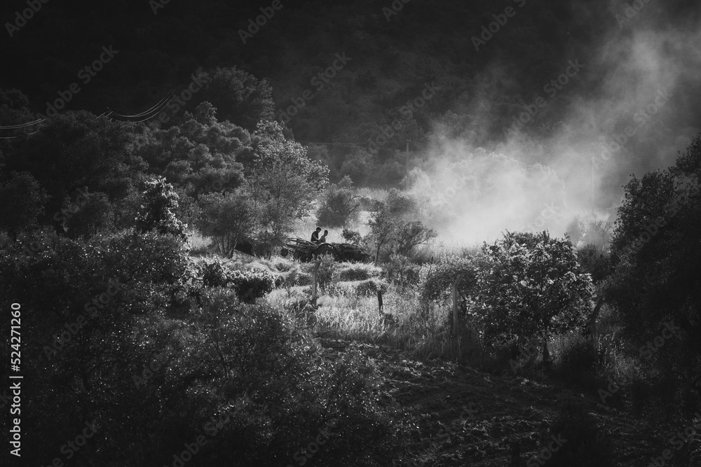 Obraz premium field workers and back view between mountains