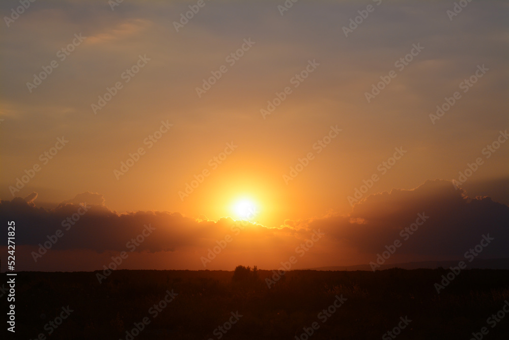 Picturesque view of beautiful field at sunset Picturesque view of beautiful field at sunset