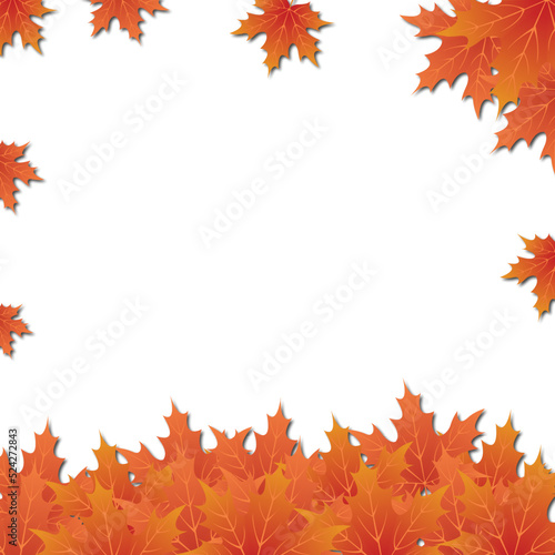 autumn background vector illustration design