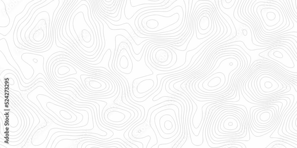 Fototapeta premium abstract pattern and Topographic map background. Line topography map contour background, geographic grid. Abstract vector illustration. 