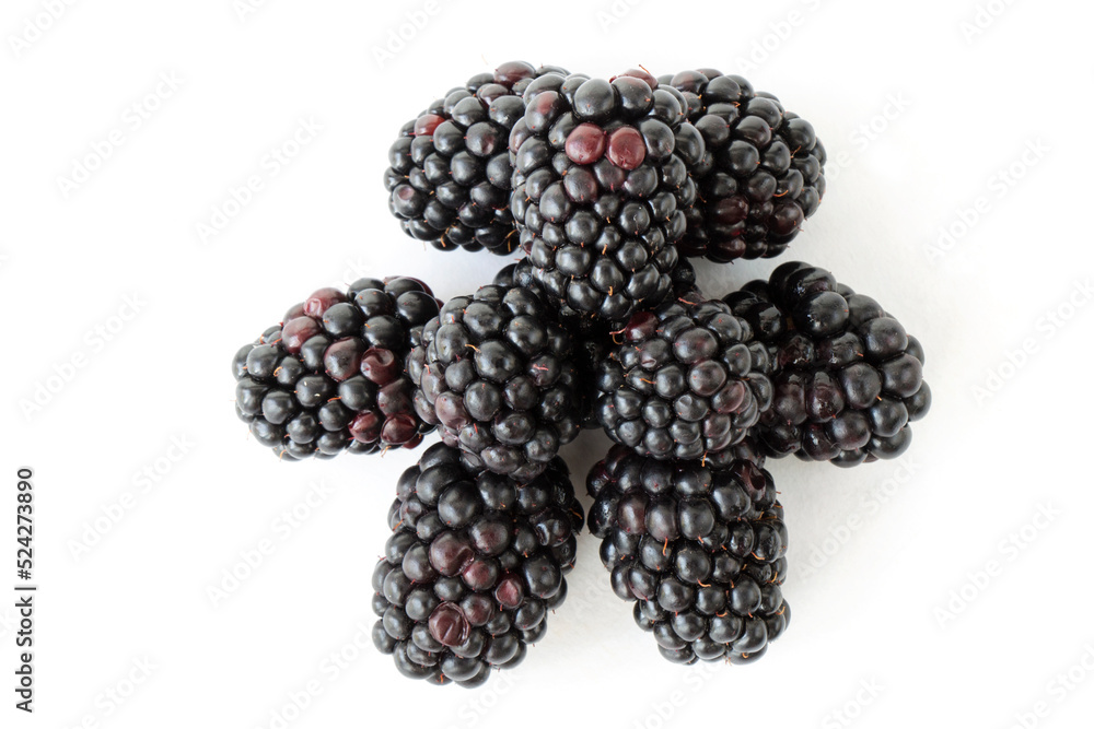 funny lamb made from blackberries, on a white background funny lamb made from blackberries, on a white background