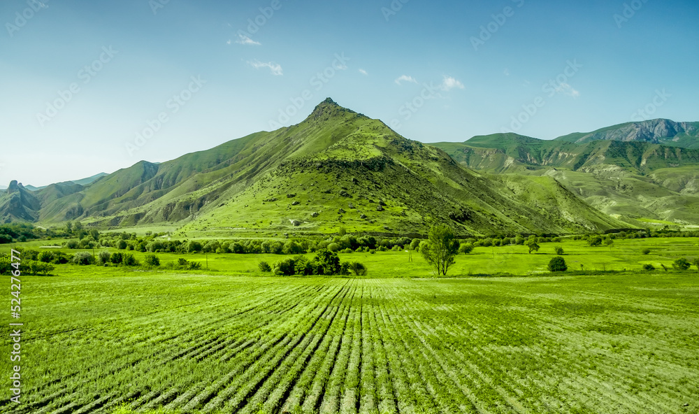 Bright fresh green grass field and mountain range under blue sky. Countryside spring emerald landscape. Nature backgroud. Agriculture and farming. . Agro industry. Growing organic vegetables or herbs
