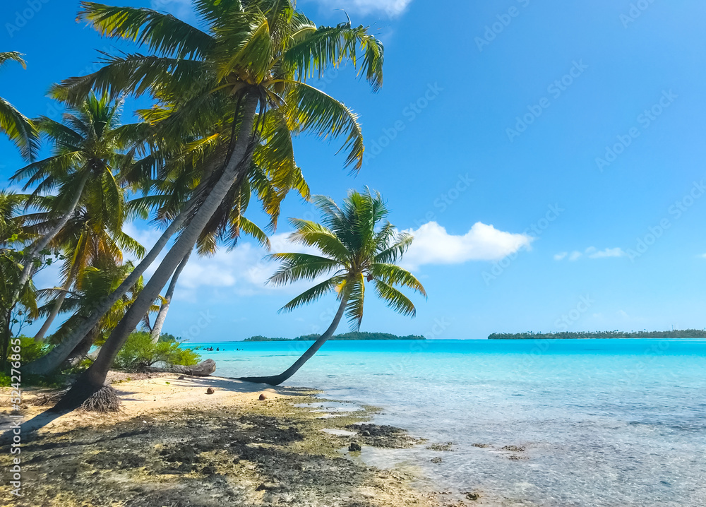 Fototapeta premium Exotic wild beach with white sand shore, coconut trees, turquoise water. Untouched nature. Beautiful natural landscape. Amazing seascape background. Summer travel, holidays, adventure. Explore world.