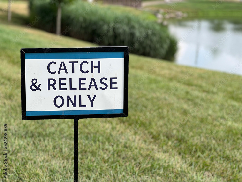 Catch & Release Sign by the side of a lake.