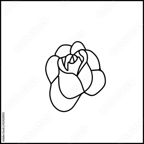 this is an interesting flower picture