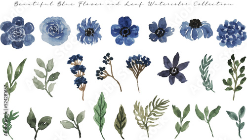 Fotografija set of elegant blue flower watercolor