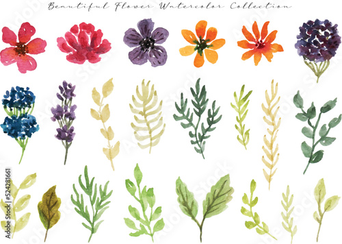 set of colorful wild flower and leaf watercolor	