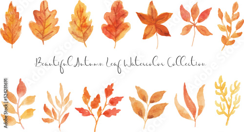 set of aesthetic autumn leaf watercolor