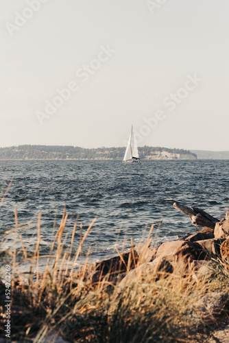 sailboat on the sea