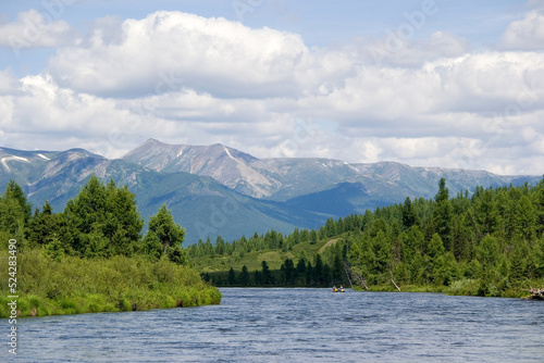 Beautiful mountain river. Mountains are visible in the background. The banks are overgrown with green trees. Tyva Republic, Russia