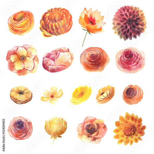 Watercolor red, orange and yellow autumn flowers set, fall flower clipart, isolated floral elements on white background
