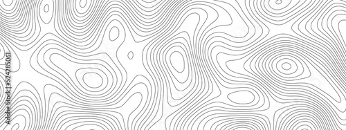 Black and white abstract background vector, Abstract topographic contours map background .Topographic background and texture, monochrome image. 3D waves. Marble texture with natural pattern . 