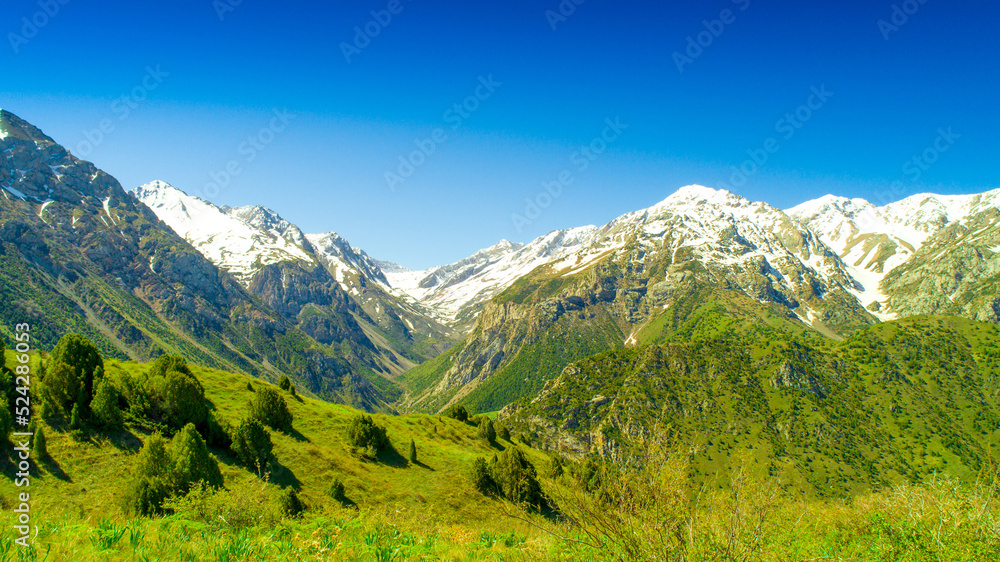 Beautiful nature of the rocky mountains of Switzerland. Snowy peaks, green landscape of nature. Coniferous trees among the rocks on a blue background.