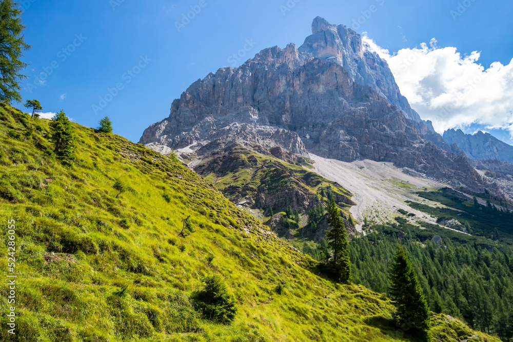 Mountain view at Passo Rolle, San Martino di Castrozza, Trentino Alto Adige - Italy