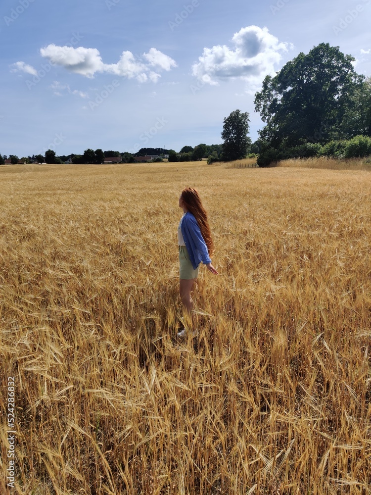 child in the field child in the field