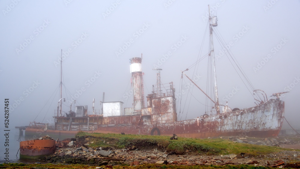 Old whaling ship in the fog, at the old whaling station in Grytviken, South Georgia Island